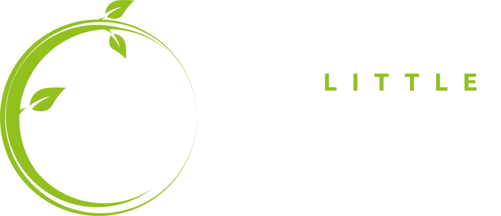 Bezahlbares Eigentum für die Mittelschicht | Massivholzbauweise | ökologisch und nachhaltig bauen | individuelles Wohnen | günstiges Eigenheim | Tiny-Haus